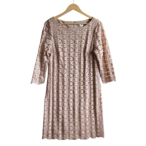 Eliza J Lace Dress Size 16 Champange - Picture 2 of 12